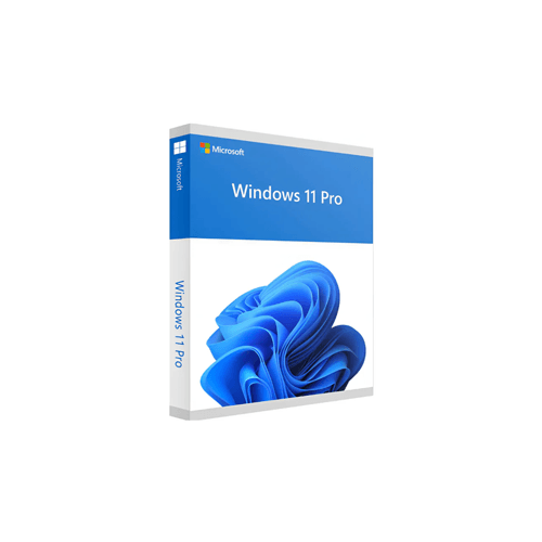 WIN 11 PRO OEM